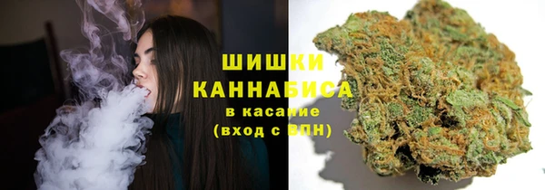 гидропоника Балабаново