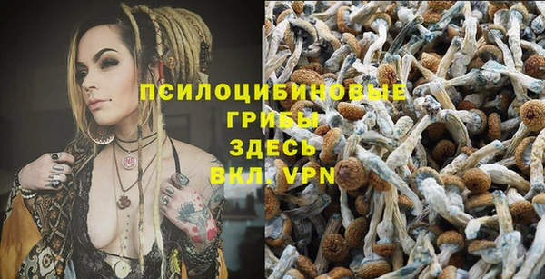 гидропоника Балабаново